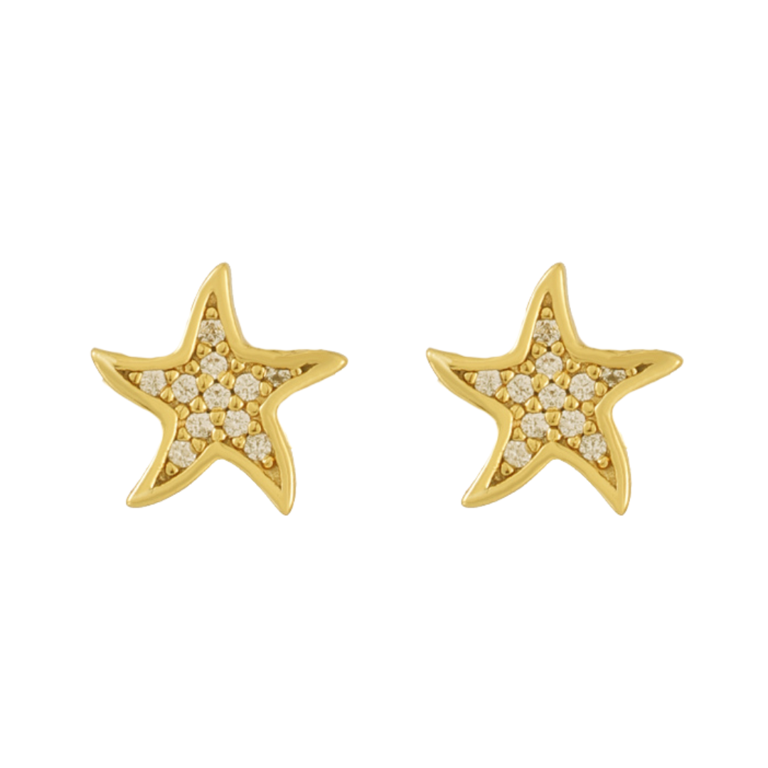 Boucles d’oreilles North Star