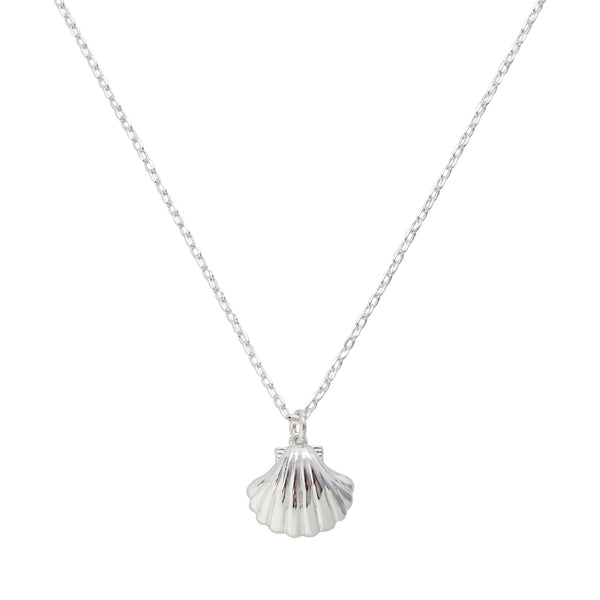 Seashell Necklace