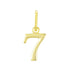 Lucky Number Charm - EVRYJEWELS